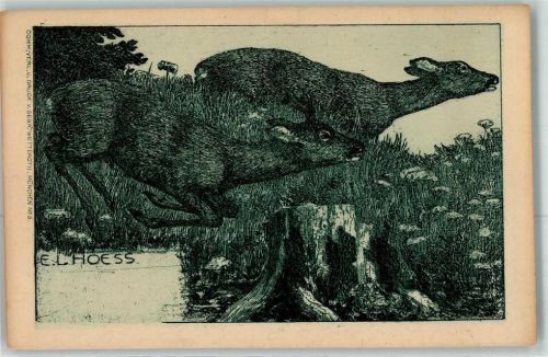 1899 sign. E.L. Hoess Jagdtiere