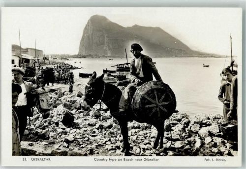 Gibraltar Foto AK Foto Roisin Tracht Esel Hafen Strand