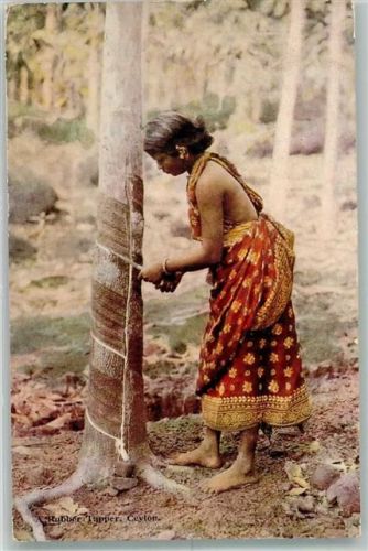 Colombo 1929 Tracht Frau Rubber Tupper Ort lt. Verlag