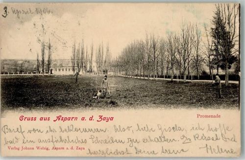 Asparn 1906