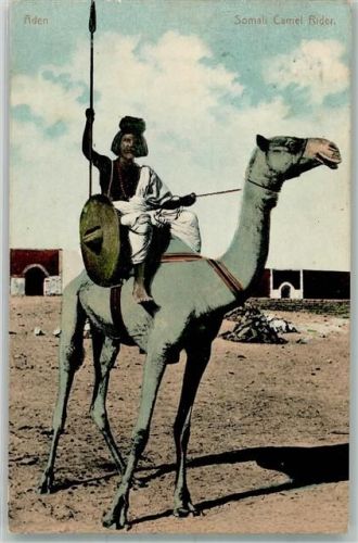 Aden 1910 Tracht Kamelreiter