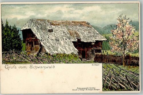 1899 Gruss aus Schwarzwaldhaus Gruss aus Schwarzwaldhaus Verlag Seeger