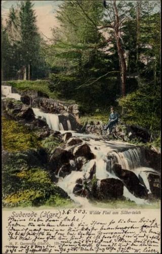 1903 Suderode (Harz), wilde Flut am Silberteich.,M. F. Gernrode