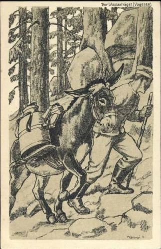 um 1915 , Esel,sign. v. Geörgi