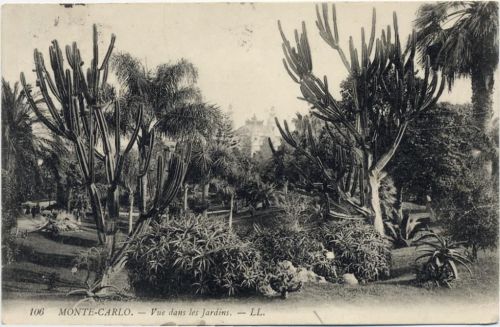 1908 Monte Carlo, Kaktus, -Vue dans les Jardins- AKU2