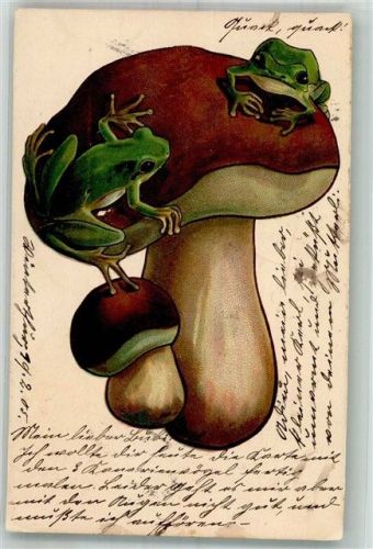 1905 Großer Steinpilz Sitzplatzvom Frosch