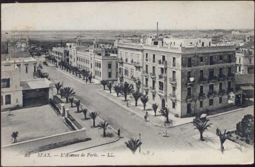 um 1920/30 SFAX,- L Avenue de Paris. - LL, Tunesien,Levy Fils & Cie