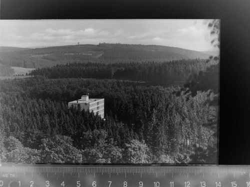 Langewiese