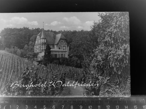 56859 W5584 Alf GLASNEGATIV Berghotel Waldfrieden