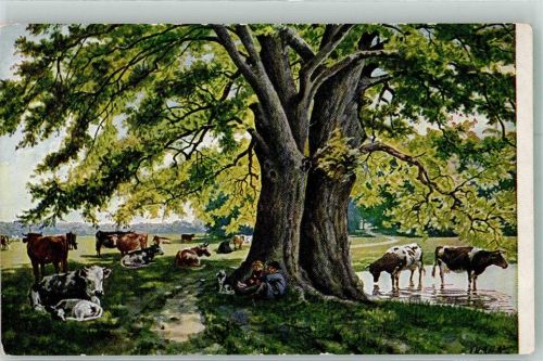 Sommer Hirten und weidende Rinder im Schatten eines alten Baumes Wendelsteiner Brennessel-Spiritus