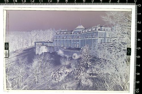 Bühlertal Schloss