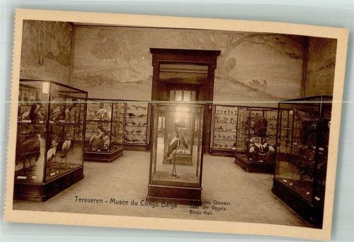 Tervuren Ausstellung Museum Vögel