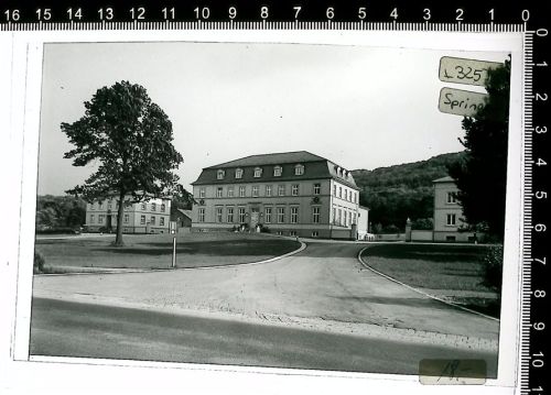 Springe Kleber auf Schutzfolie