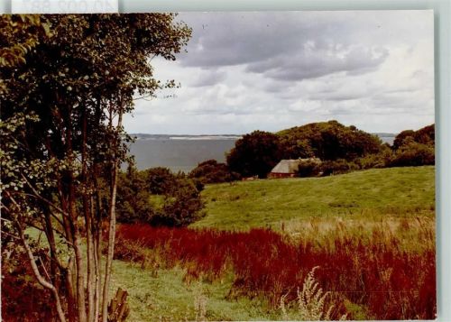 Westerholz Förde-Blick