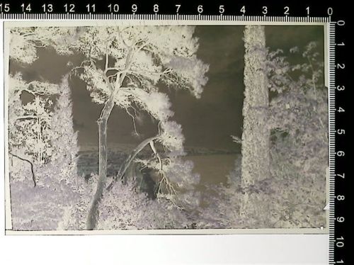 06000 Nice Nizza Kunststoff-Negativ / Dia-Positiv KEINE AK