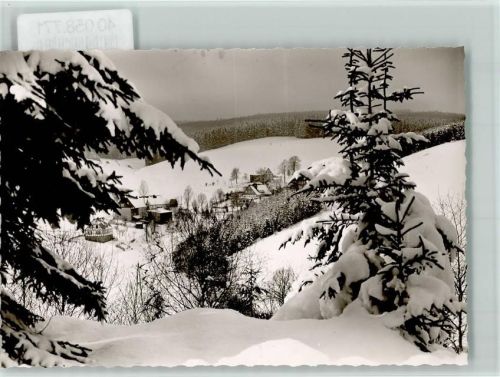 Zinse Winteraufnahme