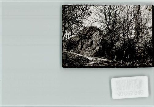 Dannenfels Donnersberg