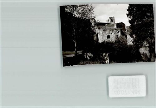 Hardenburg Burgruine