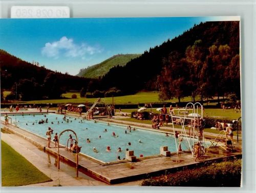 Calmbach Freibad Rutsche Sprungturm