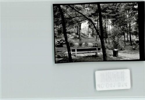 75385 W7265 Neubulach FOTO KEINE AK Wald