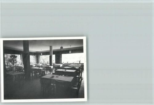 Schapdetten Foto