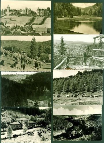 Finsterbergen Lot mit 12 AK, 2 doppelt, ca. 1950-1978; überwiegend gute Erhaltung, wenige gelaufen