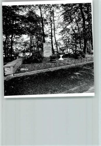 Schapdetten Foto