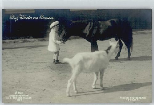 füttert sein Pony