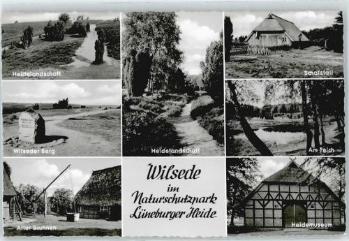 Wilsede