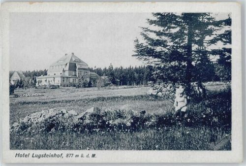 Altenberg Hotel Lugsteinhof Feld Kind Baum
