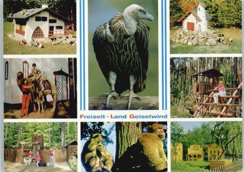Geiselwind Safariland , Geier