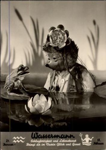 Frosch AKU2