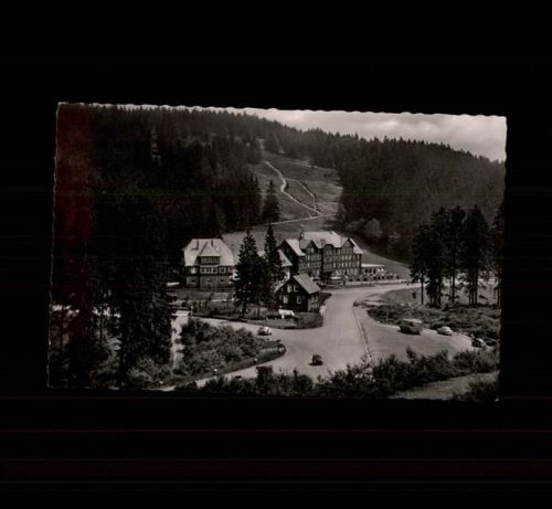 Ruhestein