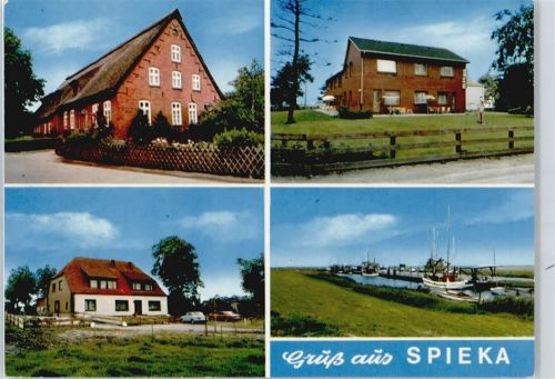 Spieka
