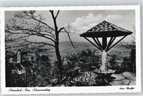 Schwandorf Schwammerling