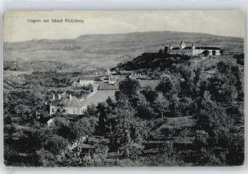 Angern Schloss Berg Haus Baum