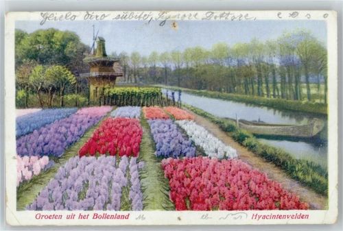 Utrecht Blumenfeld Mühle Fluss Boot