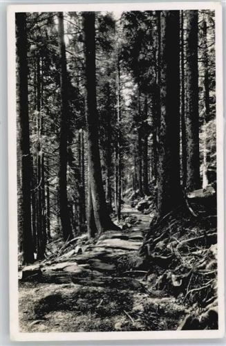 Forbach
