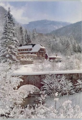 Todtnau Hotel Restaurant Waldfrieden