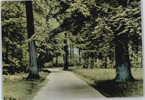 Mariental Wiese Baum Straße