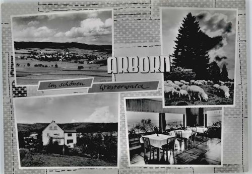 Arborn Pension Nix