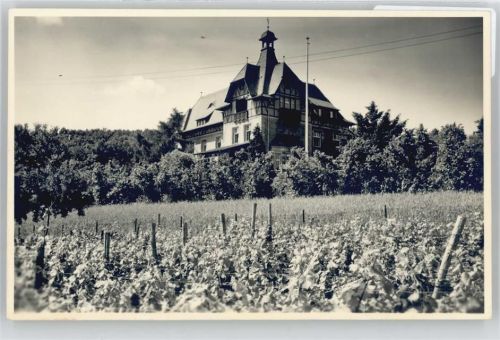 Kirchheimbolanden