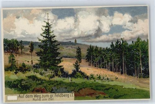 Feldberg Künstlerkarte