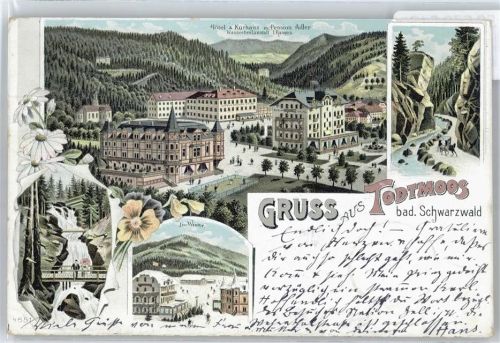 79682 W7865 Todtmoos - Hotel Adler, Fluss