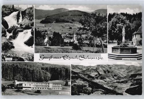 Elzach Brunnen, Sanatorium, Elzfälle