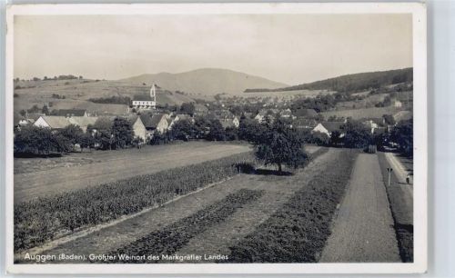 79424 W7841 Auggen - Weinanbau, Teilansicht