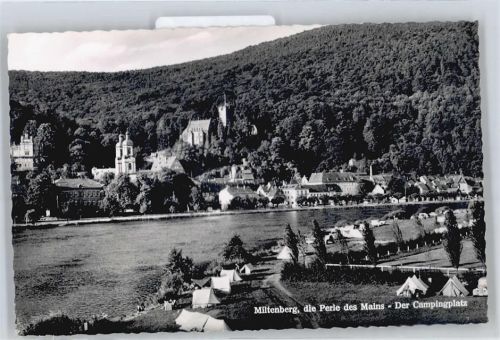 Miltenberg Fluss Camping Berg