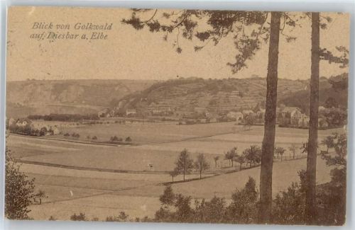 Merschwitz Blick von Golkwald