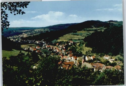 Heimbuchenthal Panorama Berg