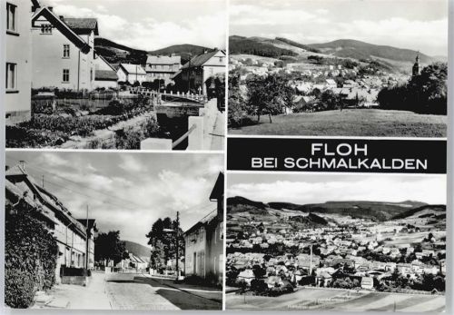 Floh